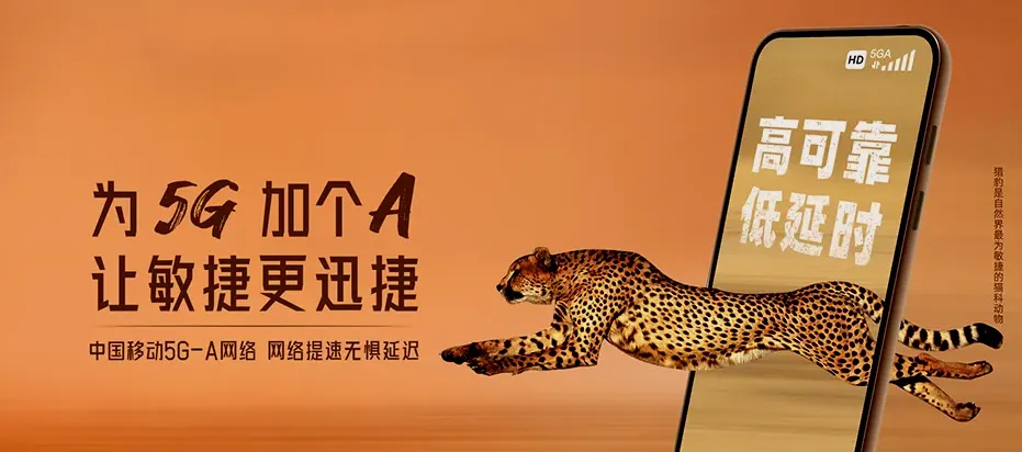 宜阳县宜阳县白杨镇 移动宽带